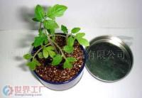 福州統(tǒng)領(lǐng)文具禮品丫丫小花園 高品質(zhì)禮品花卉銷售專家