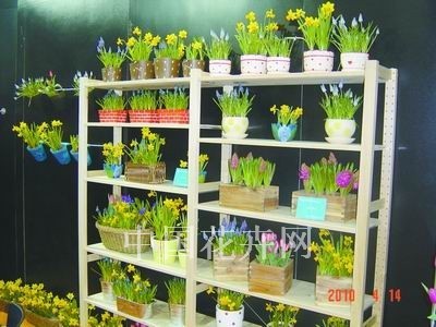 外國展商瞄準(zhǔn)中國禮品花卉市場需求 看好市場前景