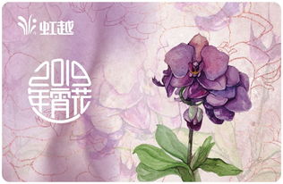 虹越黑五2019年宵花禮5折預售 一起動手過新年，禮品花卉銷售引爆節日氛圍