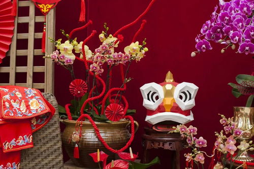 虹越黑五2019年宵花禮5折預售 與家人動手過新年，禮品花卉溫暖冬日