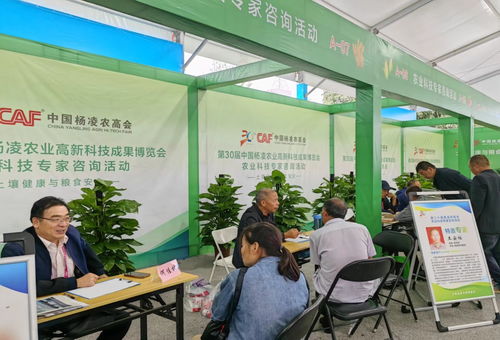 第三十屆中國楊凌農業高新科技成果博覽會開幕，揭秘現代農業技術咨詢新趨勢